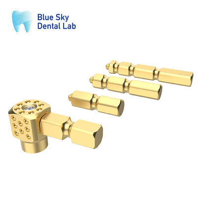 ซื้อ เหรียญทอง A Set Multi Unit Scan Body สําหรับการปรับปรุงกระเพาะกระเพาะสีฟ้า online manufacture